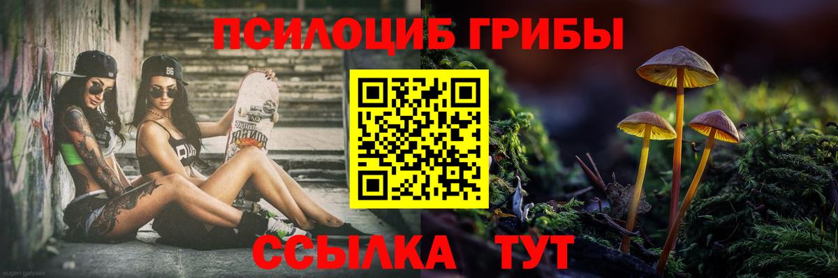 Галлюциногенные грибы Cubensis Киреевск