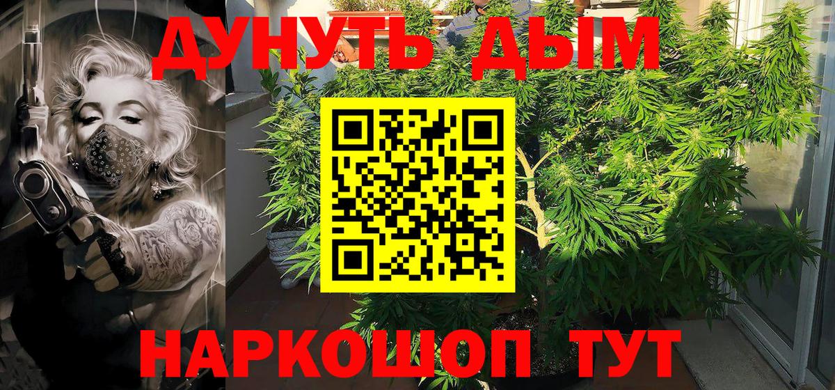 Каннабис SATIVA & INDICA  Бошки марихуана тримм  Киреевск  Вход с VPN  Каннабис VHQ  Бошки Шишки LSD WEED 